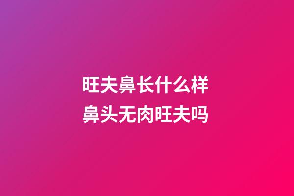 旺夫鼻长什么样 鼻头无肉旺夫吗